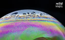 The Macro