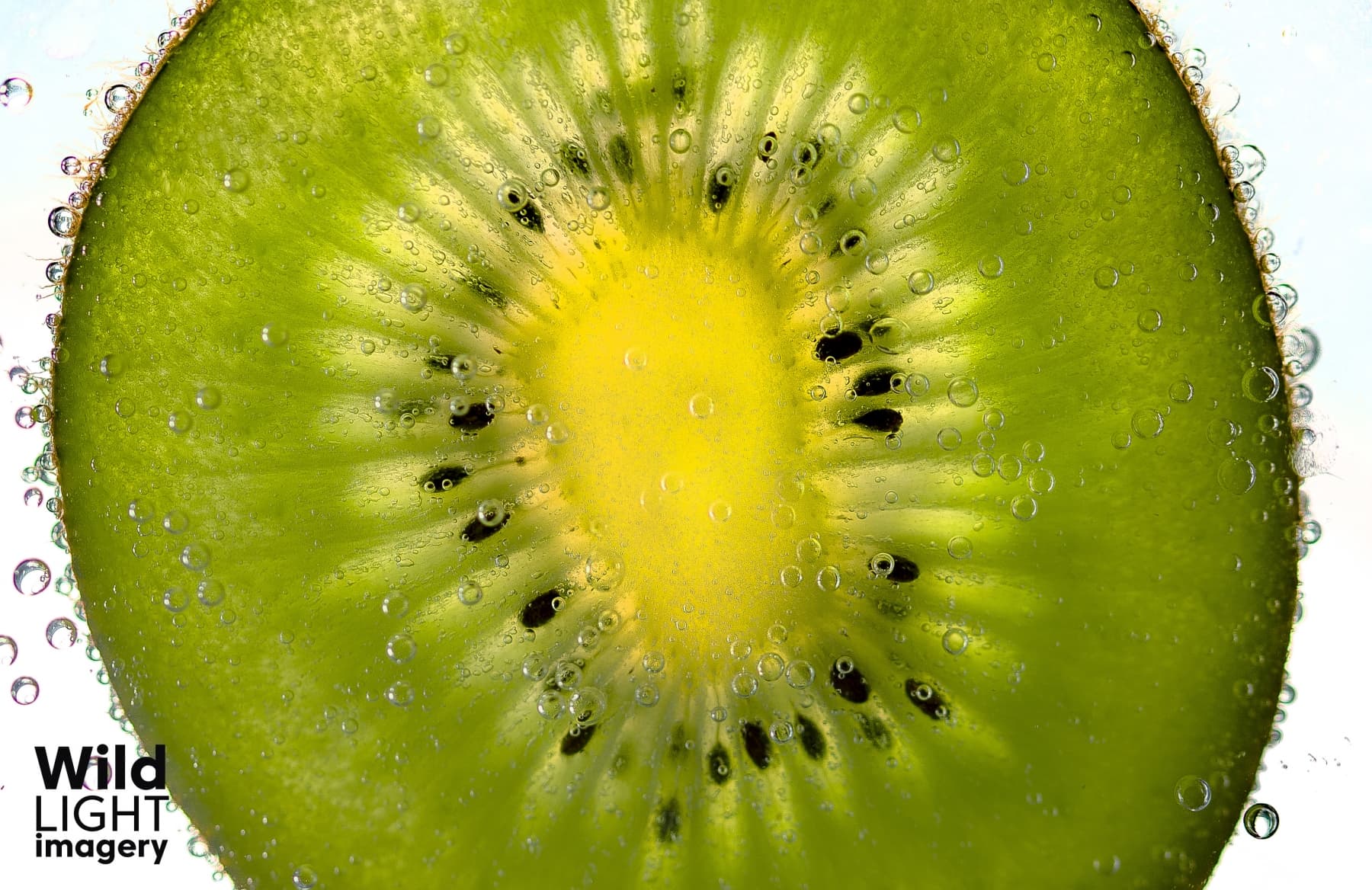 KIWI Fruit