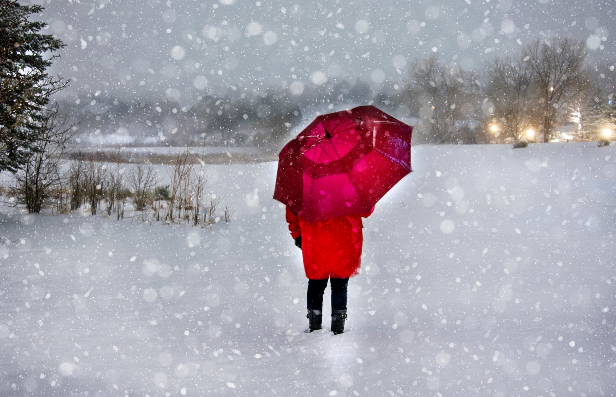Red Umbrella, Snowfall