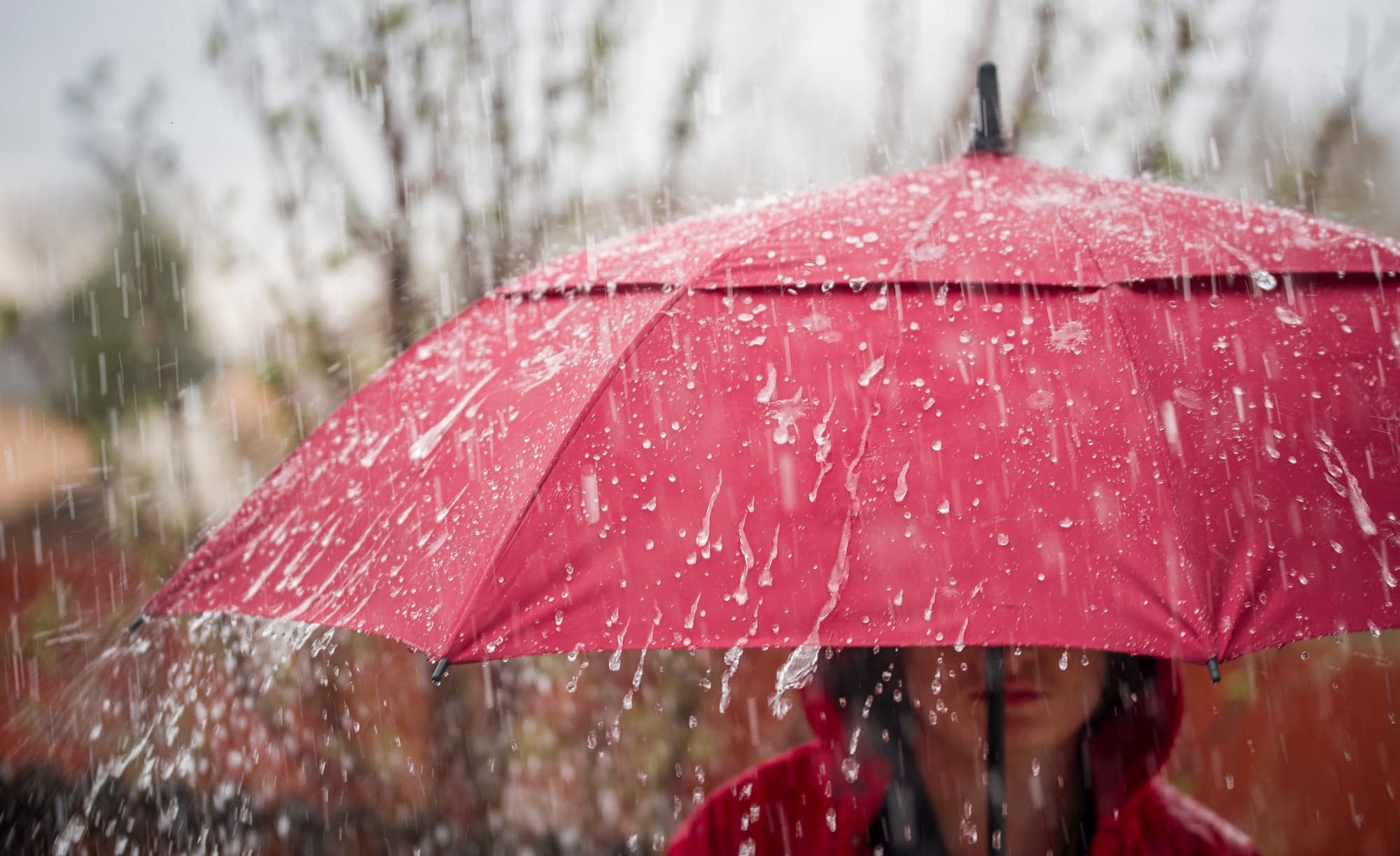 Red Umbrella, Heavy Rain