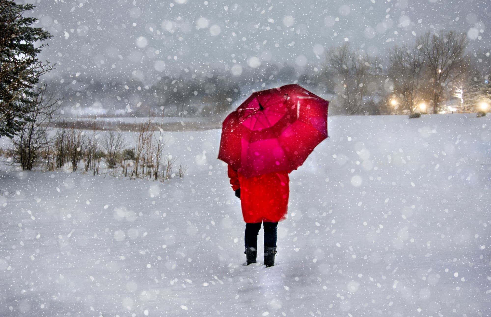 Red Umbrella, Snowstorm