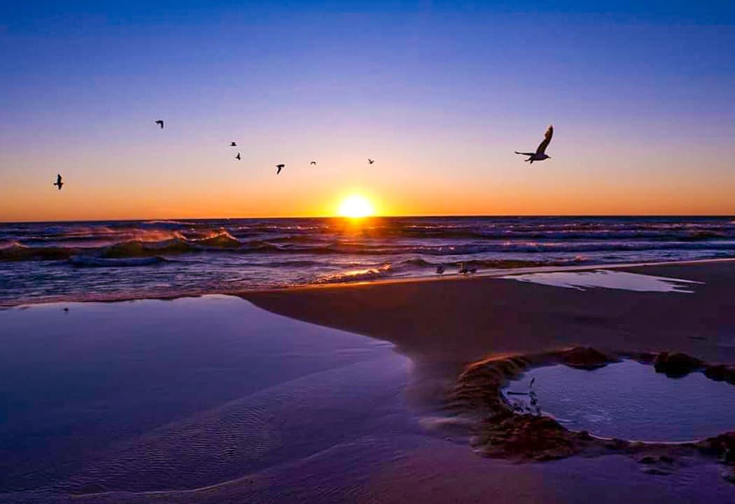 Sun and Birds on the lake