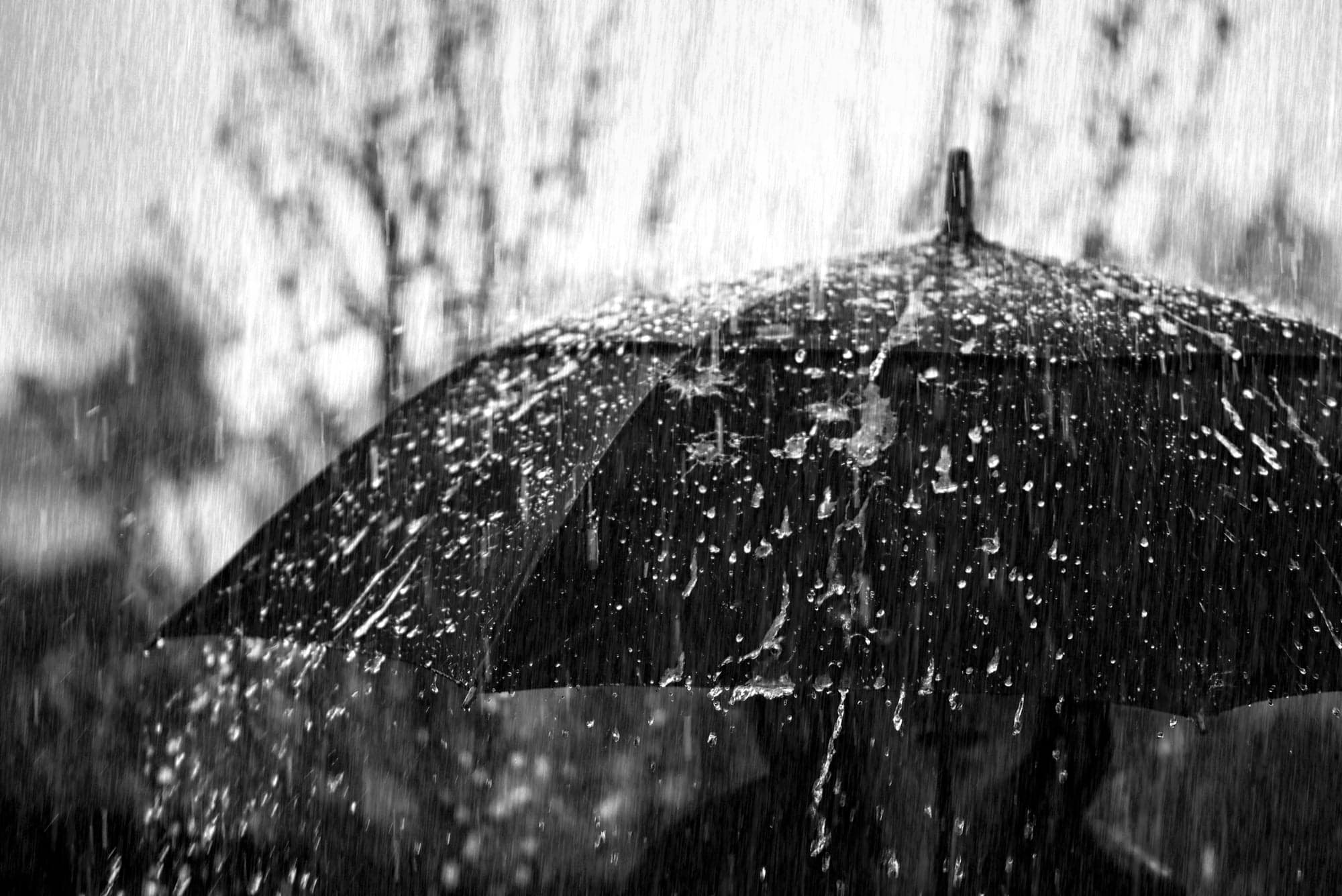 Umbrella in Downpour